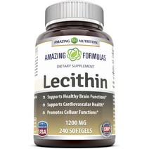 어메이징뉴트리션 포뮬러 레시틴 1200mg 소프트젤, 240정, 1개