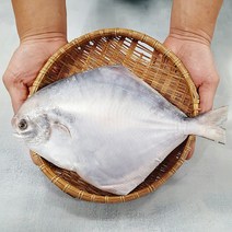 신안 손질 생물 병어 대 특대 왕특 내장제거 비늘제거 병어회 제수용, 중 사이즈 1미(350g-380g), 1개