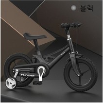 디와이(DY) Phoenix 피닉스 아동 어린이 자전거 12 14 16인치 레드 무지개 블랙 핑크, 블랙+14인치