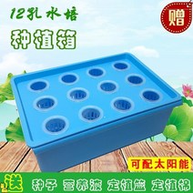 재배 디바이스 집안 베란다 반찬 기계 방안 워터 상자를 심는 플라스틱화분 가든픽, T05-발롱블루 솔라티 산소증폭 물 배상자, C01-중하