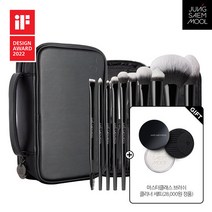 정샘물 마스터클래스 브러쉬 10종 세트(+브러쉬클리너 정품증정), 브러쉬 10종 세트