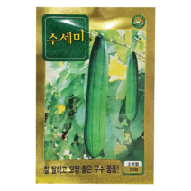 [씨앗맛집] 수세미 봄 채소 야채 민속 씨앗 씨 종자 모종 재배 키우기, 1개