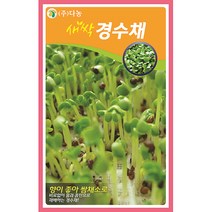 새싹경수채(교나)씨앗 30g, 단품없음