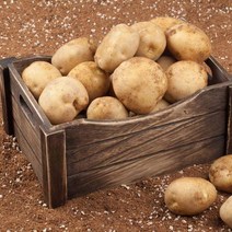 [후레쉬앤푸드] 하우스 햇 수미감자 3kg (대)