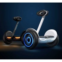 샤오미 나인봇 세그웨이 두발 전동휠 전동 킥보드 호버보드, 상세 페이지 참고, 36V L6 블랙