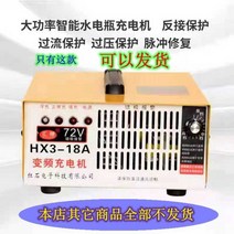 적용 전기삼륜차 충전기포기 48V60V72V 납산배터리 충전용건전지, T14-72V16A 물병 30kg-45kg