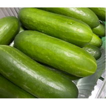국내산 아삭한 미니오이 스낵오이 1kg 2kg 3kg, 1kg(못난이), 1개