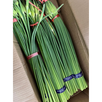 신선 마늘쫑 1kg 2kg 아삭아삭 햇마늘종, 1개