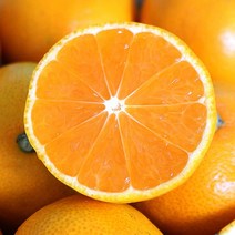 GAP 인증 고당도 하우스감귤 1.5Kg 소과, 단품