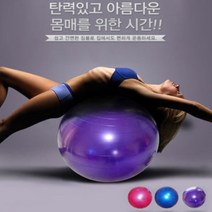 밥심스포츠 짐볼 골반운동기구 스트레칭 다이어트 공 크기, 블루