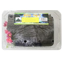 참 숯 가습기 다용도 공기 정화 탈취 요리 숯 9803452EA