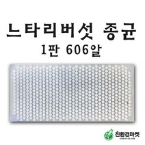 버섯종균 (1판606알) - 느타리 종균 텃밭 주말농장 캡슐형 버섯 종균, 01. 느타리 종균 1판 606알