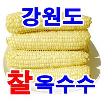 강원도 정선 냉동 옥수수 20개 미백 찰옥수수 수확후 일체의 첨가물 없이 급냉하여 제철 옥수수맛과 차이가 없습니다. 년중 판매 우리네농산 산지 직배송