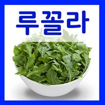 루꼴라씨앗 12g 루꼴라씨 로켓샐러드 종자파종 재배