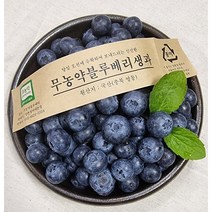 국산 생블루베리 블루베리 무농약 블루베리생과 500g, 1kg, 왕특(18mm이상)
