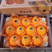 제주 프리미엄 천혜향 레드향 한라봉 백화점 제주도 3kg 5kg 산지직송 선물용 가정용 과일 설날 설 명절선물세트, 15) 레드향 선물용 로얄과 5kg