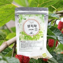 상지차 30g/20티백 X 3 (뽕나무가지차), 단품