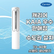 캐리어 냉난방기 스탠드 인버터 냉온풍기 업소용 상업용 일반형 에어로18단 16평 18평 23평 30평 40평 실외기 포함 정직한 설치비용, 캐리어 16평 DASQ0161SAWSD