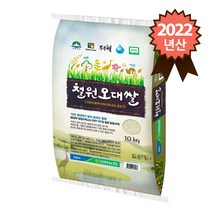 김화농협 2019년 철원오대쌀 백미, 1개, 10kg