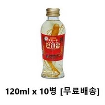 사랑주는쇼핑몰 제일종합식품 원기삼 120ml x 10병, 20병