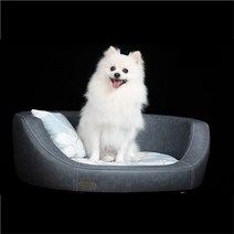 펫소파 강아지 고양이 프리미엄 쇼파 푹신 반려동물, S-스몰, B