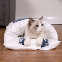 [생활/소품/최저가]_고양이이불 방석 강아지담요 쿠션 이불베게세트 강아지이불 고양이방석_36428EA, 블루M