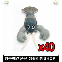 강아지목튜브 반려동물용품 강아지물품 애완견샵 애완샵 강아지목보호대