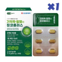 기억력 혈행 건강 개선 은행잎 추출물 징코, 1통, 30정