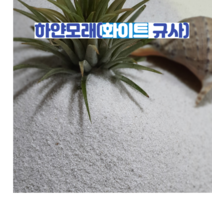 CF무균 하얀 규사모래3kg 호주 청정 자연규사 어린이모래놀이 인체무해 실내조경및인테리어 화분장식및테라리움 원예용