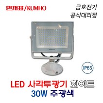 번개표 LED 사각투광기 화이트 30W 주광색 (43745), 43745-화이트_30W_주광색