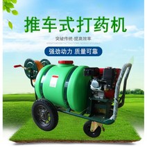 ss기 보행형 보행 카트 형 정원 핸드 푸시 의학 기계 충전식 전기 디젤 고압 농업용 가솔린 구동 소독 분무, 국내 전원 160L 큰 바퀴 + 30m