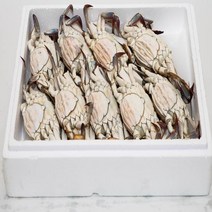 우체국쇼핑 태안꽃게 자연산알배기암꽃게3kg(봄어획10마리전후)