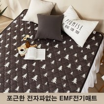 주)대호플러스 전자파없는 더안 EMF 전기매트 전기장판 침대용 캠핑용 1인용 2인용 3인용 온열매트 미니 싱글 더블 퀸, 150x200