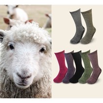 남여 메리노 울 앙고라 장목 등산양말 울양말, 40, 레드(red)