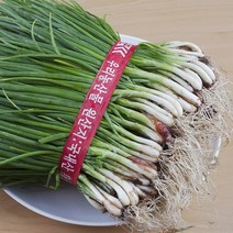야채삼촌 전라도 흙쪽파 1단 (1kg 내외), 1kg, 1개