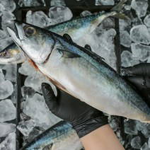 [밀봉포장] 부산 자반 간고등어, 10마리, 2.8kg (중 / 1미당 280g 내외)