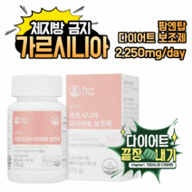 오늘부터 아무도 모르게 한방애 다이어트 팜엔탑 가르시니아 맥스컷 살뺀데이 슬린 포 나이트번 헬퍼 컷 리턴즈 푸응 탄수화물 컷팅제