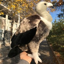[해외직구] 대머리수리 봉제인형 40cm 맹금류 대머리 독수리 이글, 1개