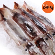 더대박 자연산 햇오징어 1kg 총알오징어, 1BOX, 오징어(급냉) 3kg