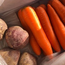 abc주스 건강주스용 세척당근 or 레드비트 1kg 단위 각각 골라담기, 1box