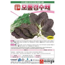 모둠경수채씨앗종자 모둠경수채(2000립), 단품, 2000립