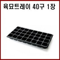 [모종트레이] - 고추 배추 상추 마늘 양파 모종 모두싹 트레이, 40구