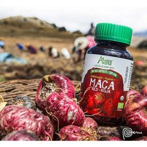 아마존 안데스 레드 마카 뿌리 캡슐 1500mg 100 베지캡슐, 기본
