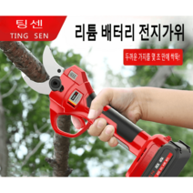 원예가위 전기 충전식 전정 휴대용 과수원 가지치기, 옵션1 (4.2cm)+배터리1개+ 연장봉