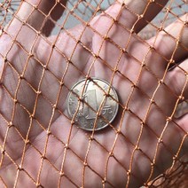 닭장 양계 망 타이어 라인 그물 나일론 안티 새 작물 보호 펜싱 메쉬 고양이 닭 낚시 장비, [07] 3mx10m, [02] 1cmx1cm Cell