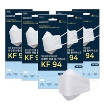 동해 KF94마스크 대형 10장 화이트 개별포장, 1세트