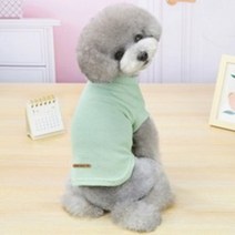 딩동펫 반려동물 데일리 티셔츠, 블루