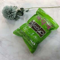 사막생물 곤충바닥재 앤 달팽이흙 바닥재 습지 매트