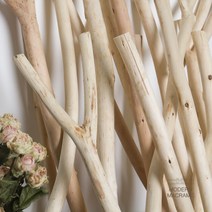 DIY 마크라메 재료 천연 드리프트 우드봉 목봉 나무봉 50cm / 60-70cm