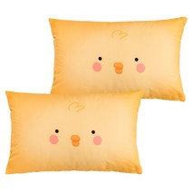 [아이자리] 에코항균 DTP 애착 베개커버 2P 세트, 삐삐